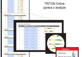Triton metoda – koncept