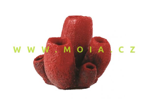 Vase Sponge Red/Purple Mycale sp. 12.5 x 12 x 11cm 