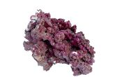 Real Reef Rocks  – korálové kameny M Tonga last generation, 25kg