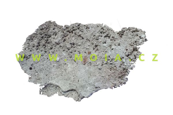 Relief Rock - korálové kameny na pozadí akvárií jednostranně řezány - karton 10kg, cena/
