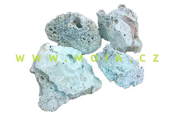 Relief Rock – korálové kameny Tonga/Asmara – karton 30kg, cena/kg

